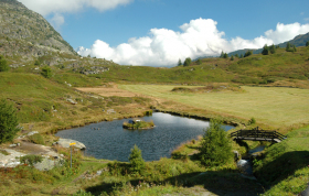 Moorsee auf dem Simplonpass