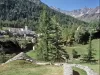 Simplon Dorf