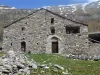 Alte Suste Engi
