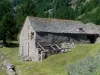 Antenne Suste Engi